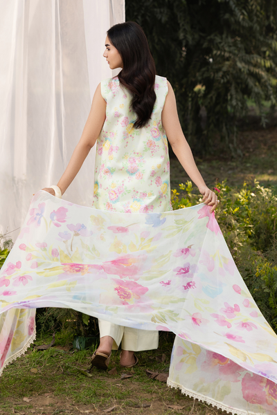 Raj Bari S-S Lawn'26 D#7