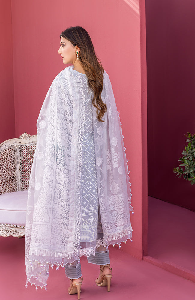 Al Zohaib RungKari Lawn`23 D#10