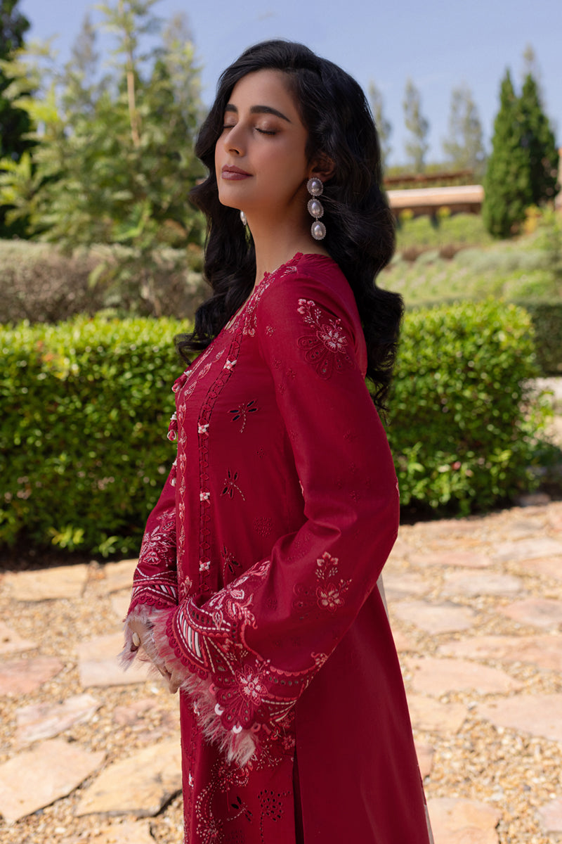 Qalamkar Qline Summer Collection`25 QM#15
