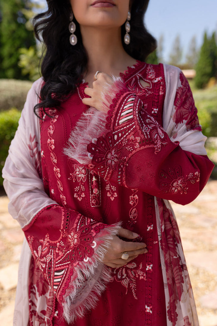 Qalamkar Qline Summer Collection`25 QM#15