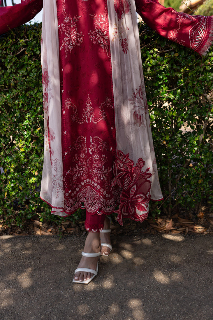 Qalamkar Qline Summer Collection`25 QM#15