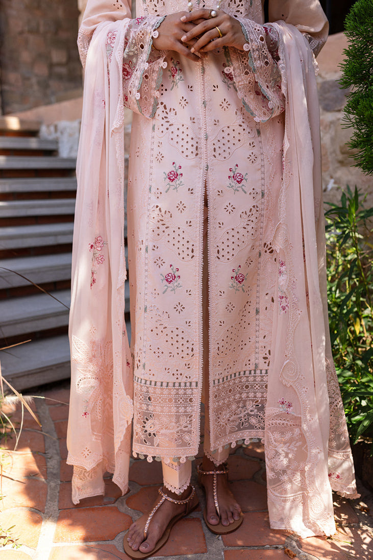 Qalamkar Qline Summer Collection`25 QM#14
