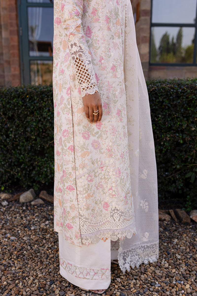 Qalamkar Qline Summer Collection`25 QM#18