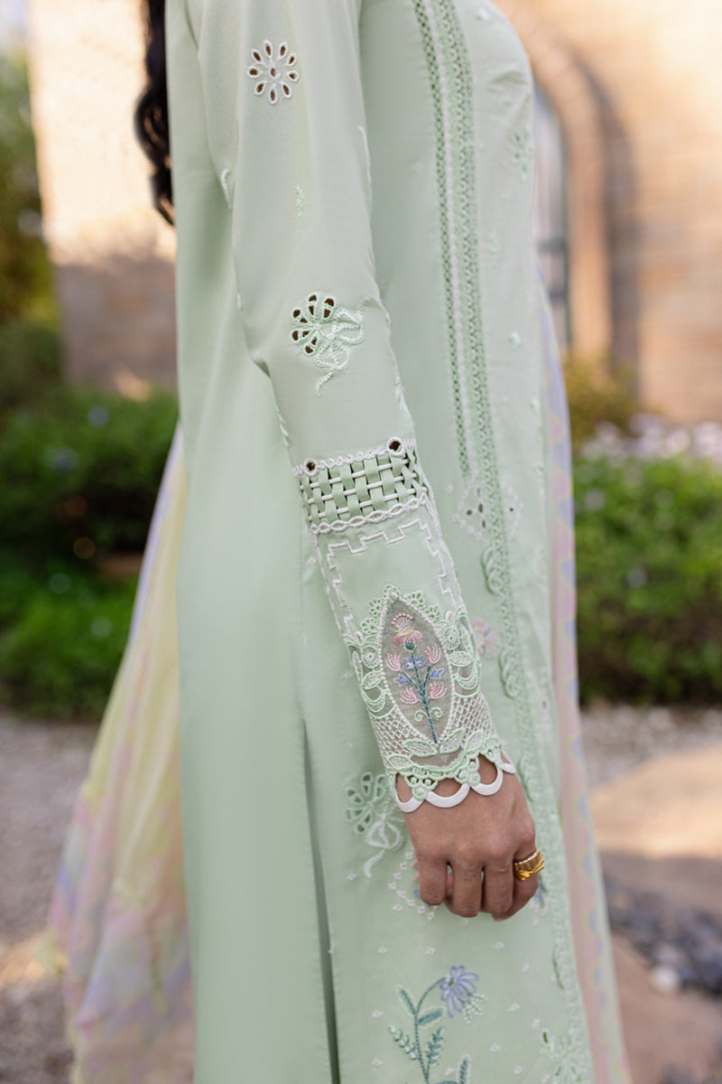 Qalamkar Qline Summer Collection`25 QM#08