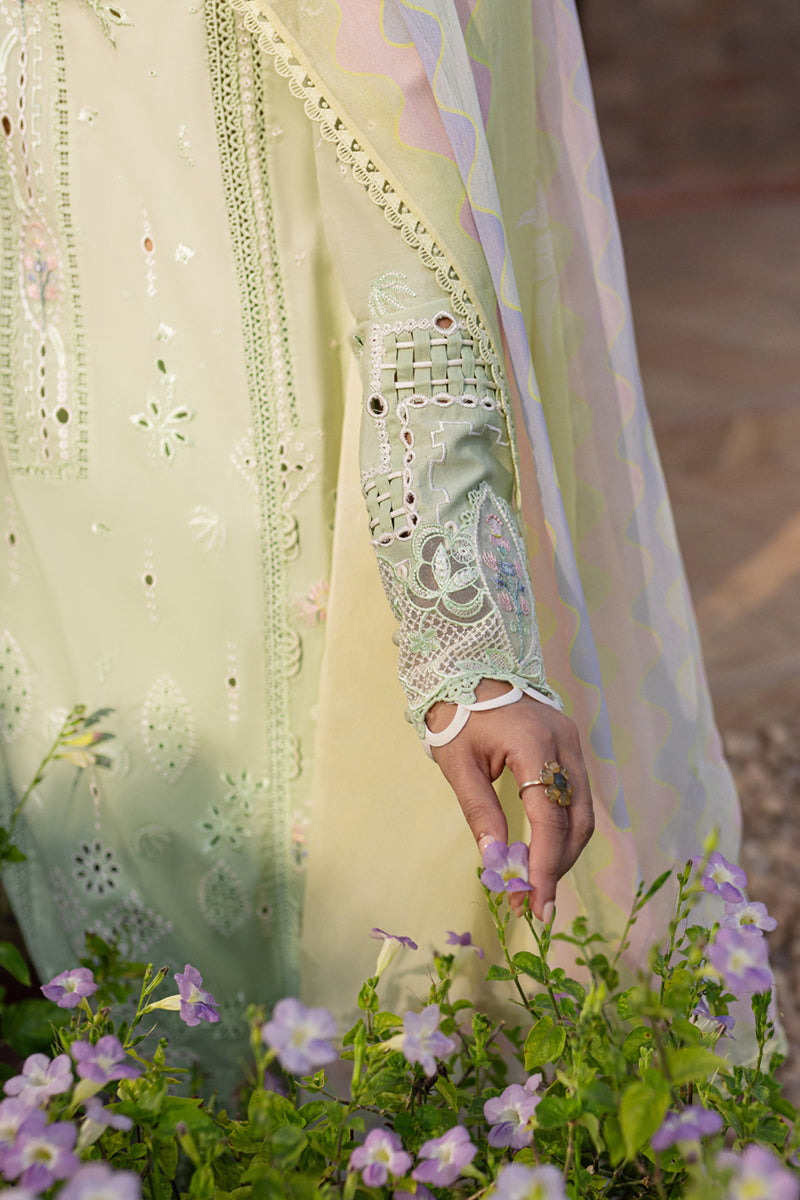 Qalamkar Qline Summer Collection`25 QM#08