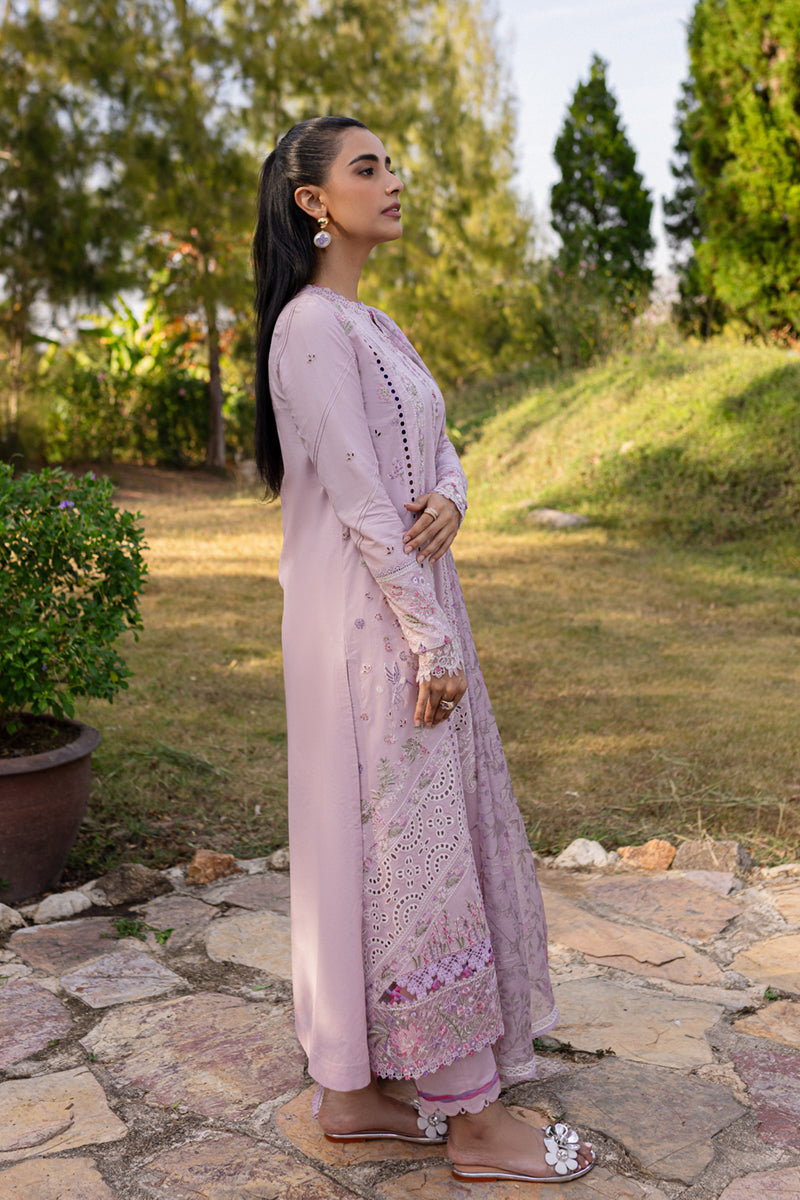 Qalamkar Qline Summer Collection`25 QM#05