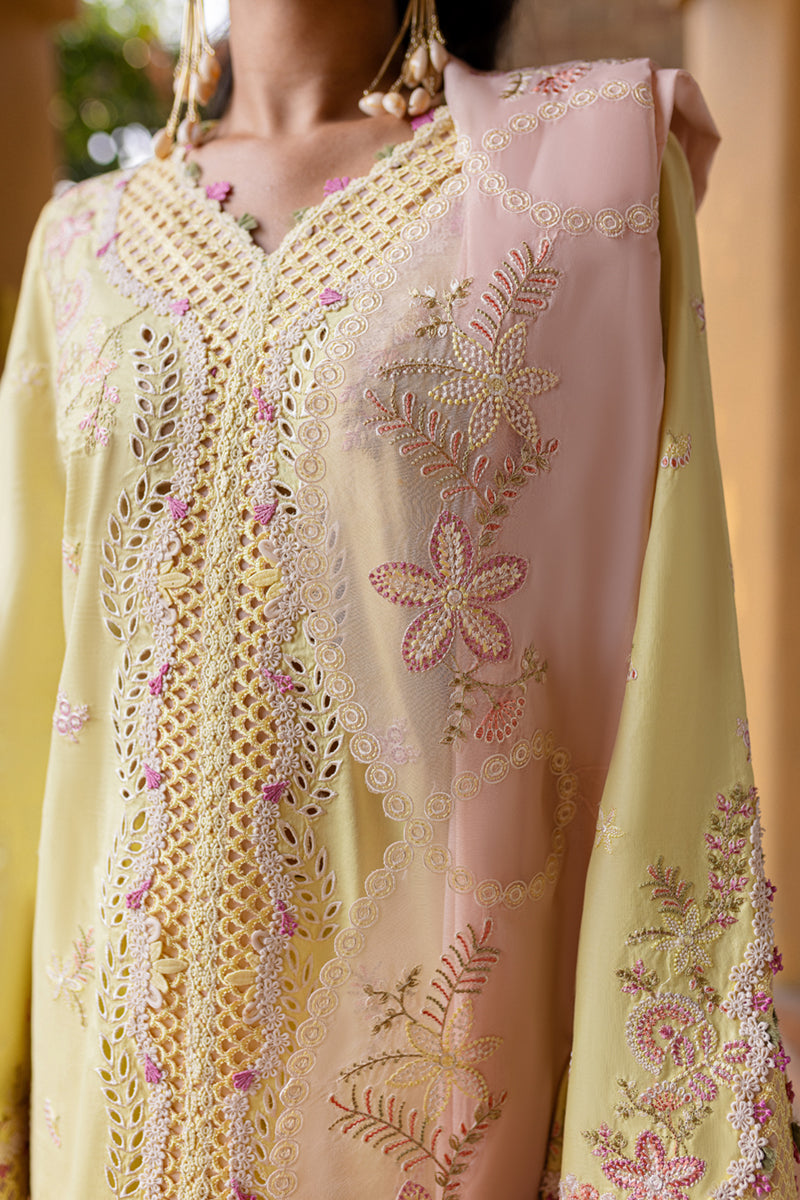 Qalamkar Qline Summer Collection`25 QM#11