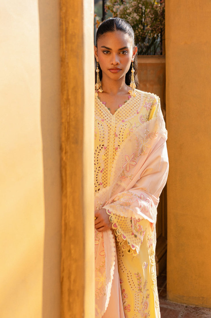 Qalamkar Qline Summer Collection`25 QM#11