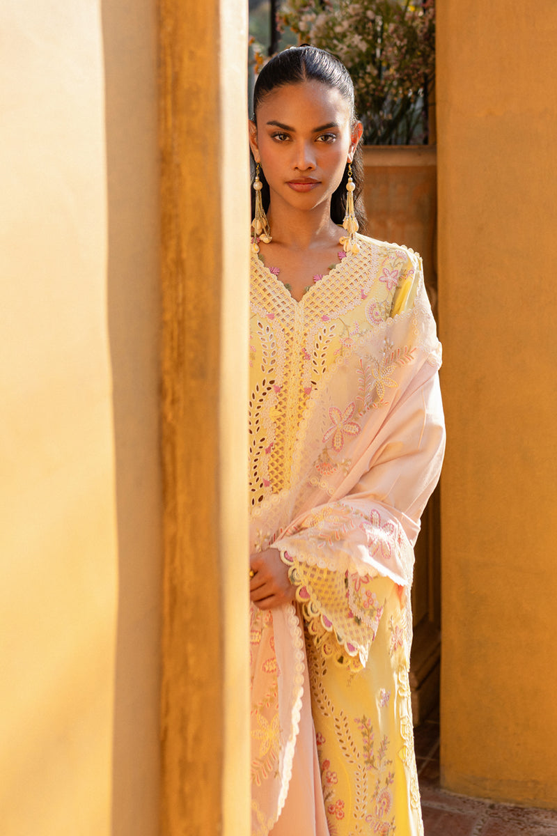 Qalamkar Qline Summer Collection`25 QM#11