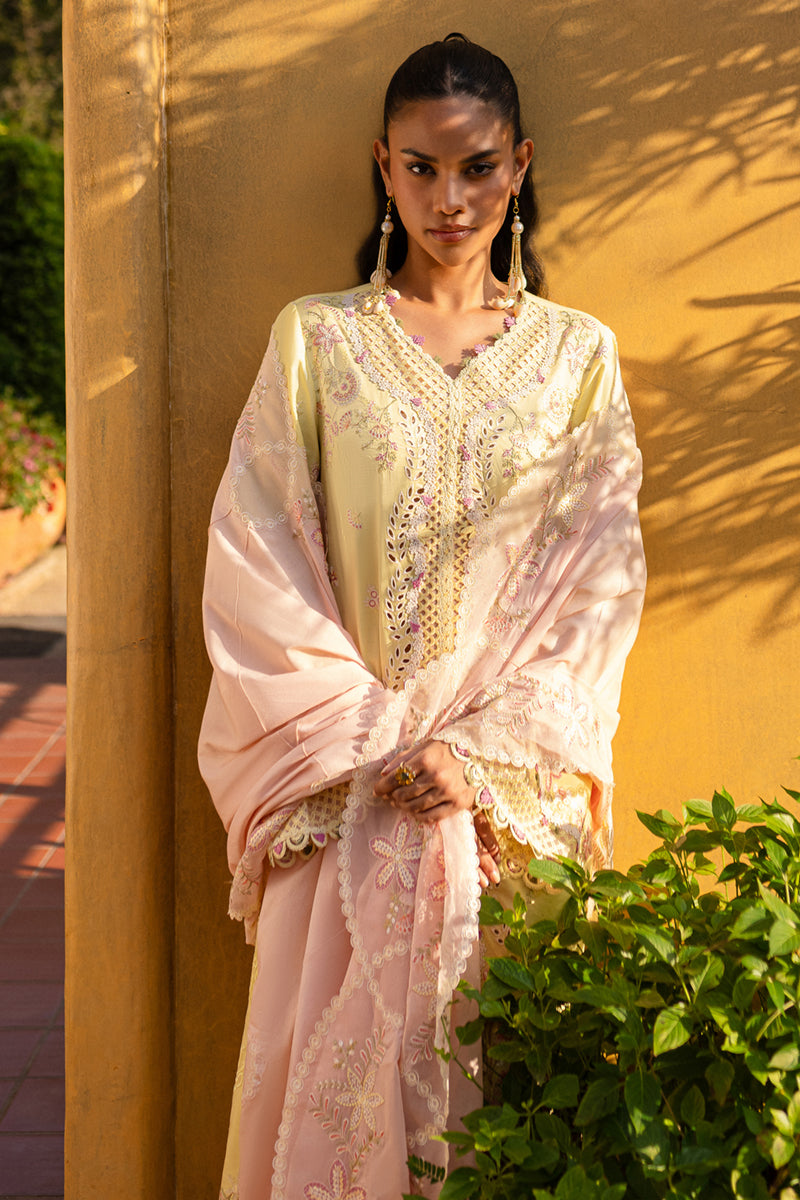 Qalamkar Qline Summer Collection`25 QM#11