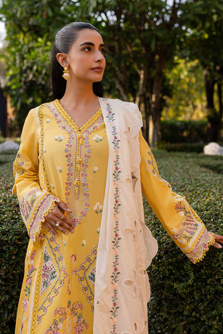Qalamkar Qline Summer Collection`25 QM#10