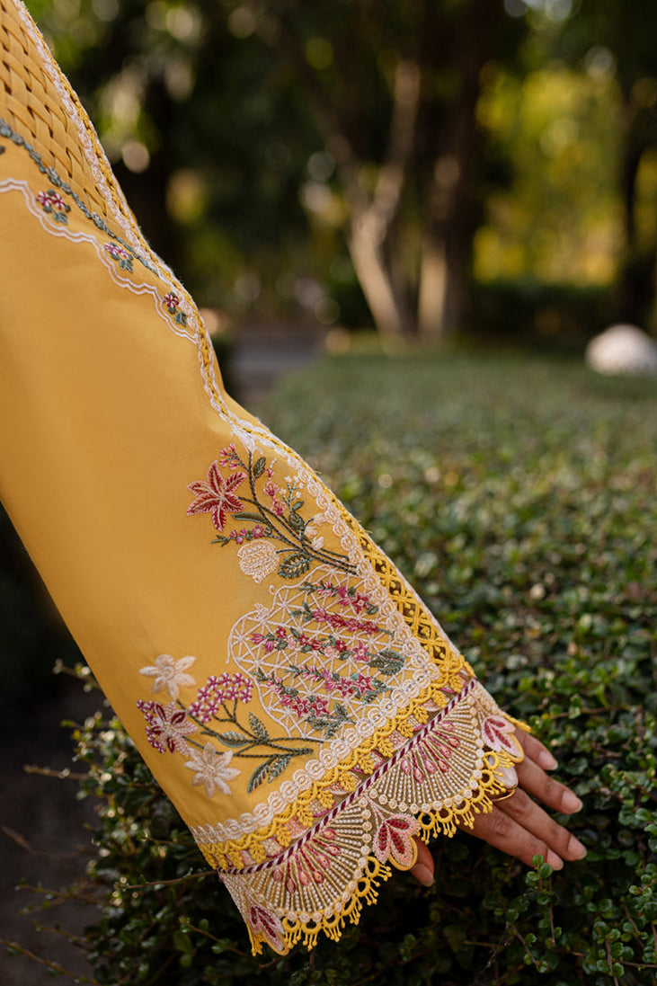 Qalamkar Qline Summer Collection`25 QM#10