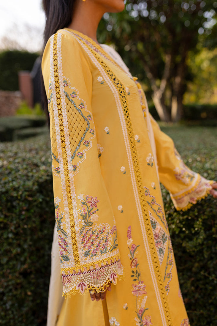 Qalamkar Qline Summer Collection`25 QM#10