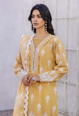 Adan`s Libas Lasserkari Lawn`25 D#5