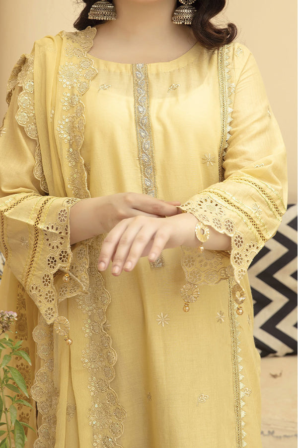 Afreen Emb Lawn'25 Vol-3 D#7