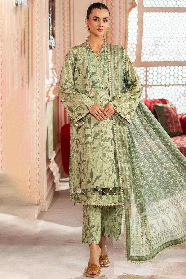 AL-Zohaib Colors D/Lawn'25 D#10