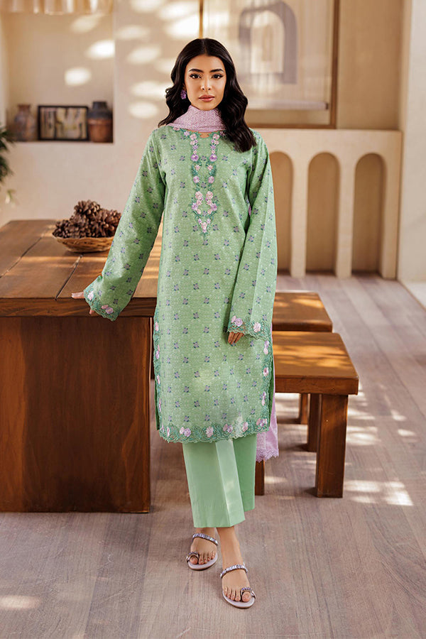 RajBari Amari Exclusive Lawn`25 RB#01