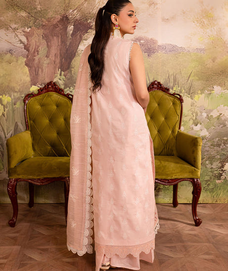 Mahnur Twilight Lawn'25 D#6-B