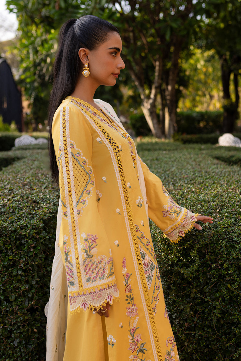 Qalamkar Qline Summer Collection`25 QM#10