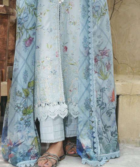 Aabyaan Shezlin C/Kari Lawn`25 AF#06