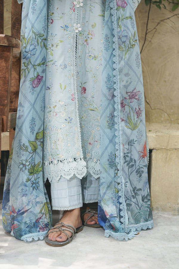 Aabyaan Shezlin C/Kari Lawn`25 AF#06