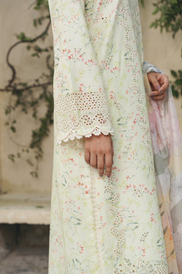 Aabyaan Shezlin C/Kari Lawn`25 AF#07