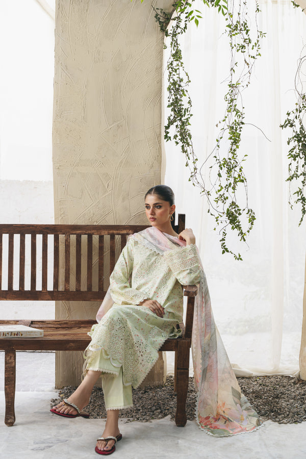 Aabyaan Shezlin C/Kari Lawn`25 AF#07