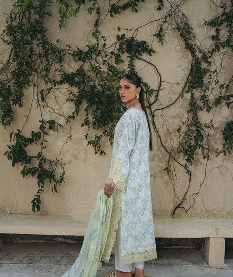 Aabyaan Shezlin C/Kari Lawn`25 AF#08