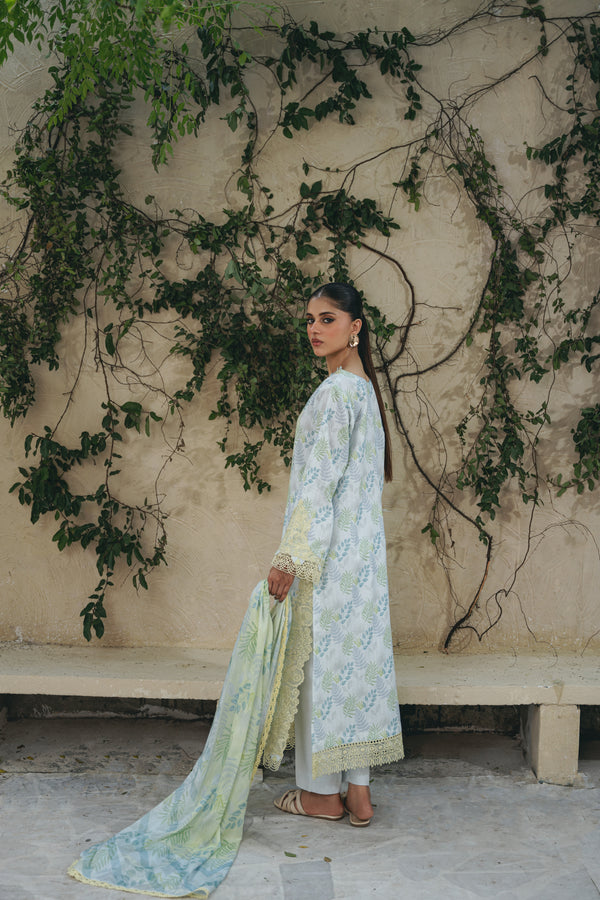 Aabyaan Shezlin C/Kari Lawn`25 AF#08