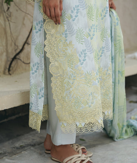 Aabyaan Shezlin C/Kari Lawn`25 AF#08