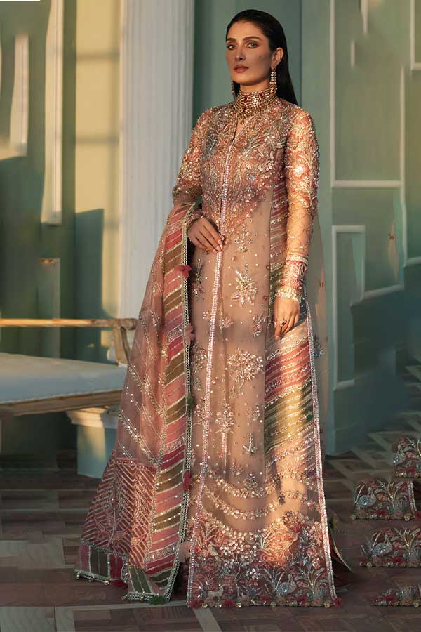 Elan Wedding Festive Collection'23 EC#06 (MEHR)