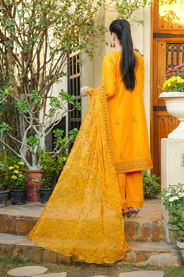 Hafiz Mehroosh Lawn`26 (Vol-3) D#2