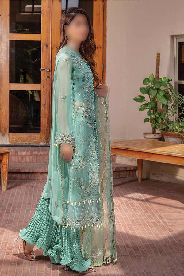 Hamdam Pareesha L/Chiffon'22 D#4