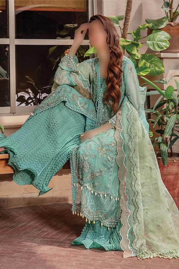 Hamdam Pareesha L/Chiffon'22 D#4