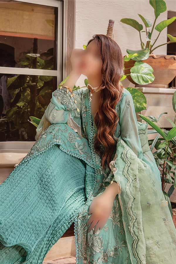 Hamdam Pareesha L/Chiffon'22 D#4