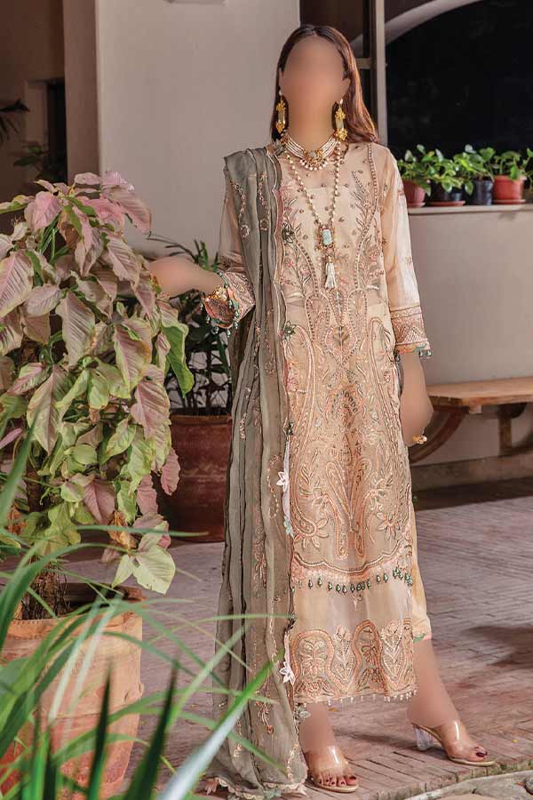 Hamdam Pareesha L/Chiffon'22 D#7