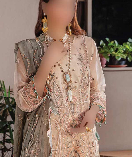 Hamdam Pareesha L/Chiffon'22 D#7