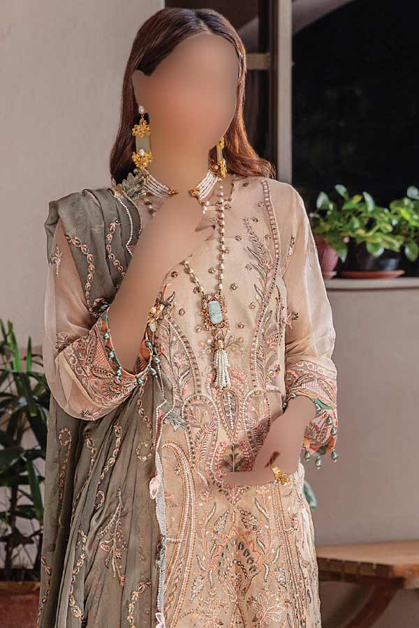 Hamdam Pareesha L/Chiffon'22 D#7
