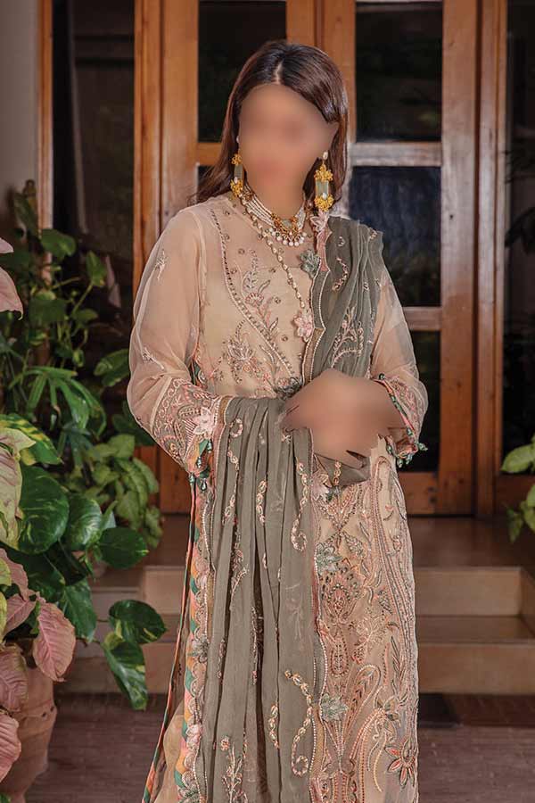 Hamdam Pareesha L/Chiffon'22 D#7