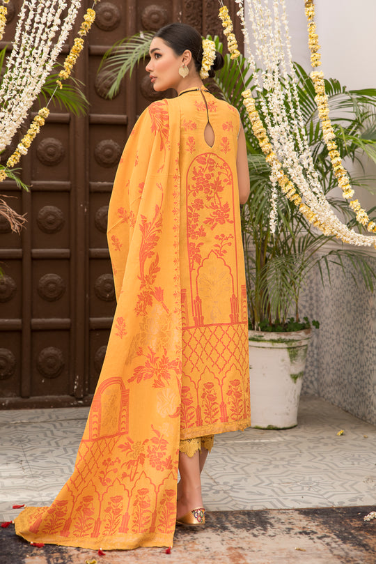 Jacquard Damask Collection'22 D#5