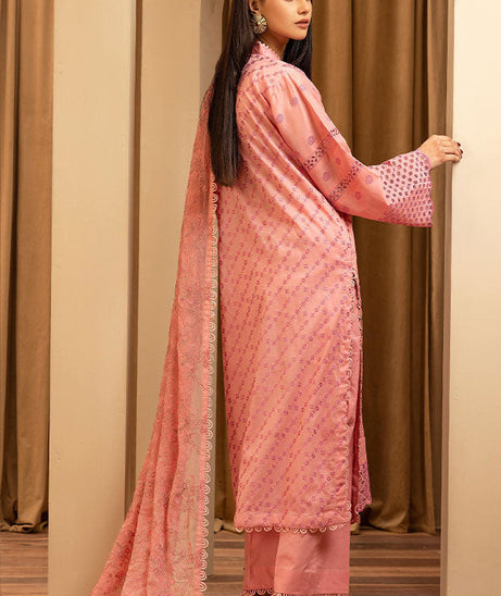 Humdum Elegant C/Kari Lawn`25 D#3
