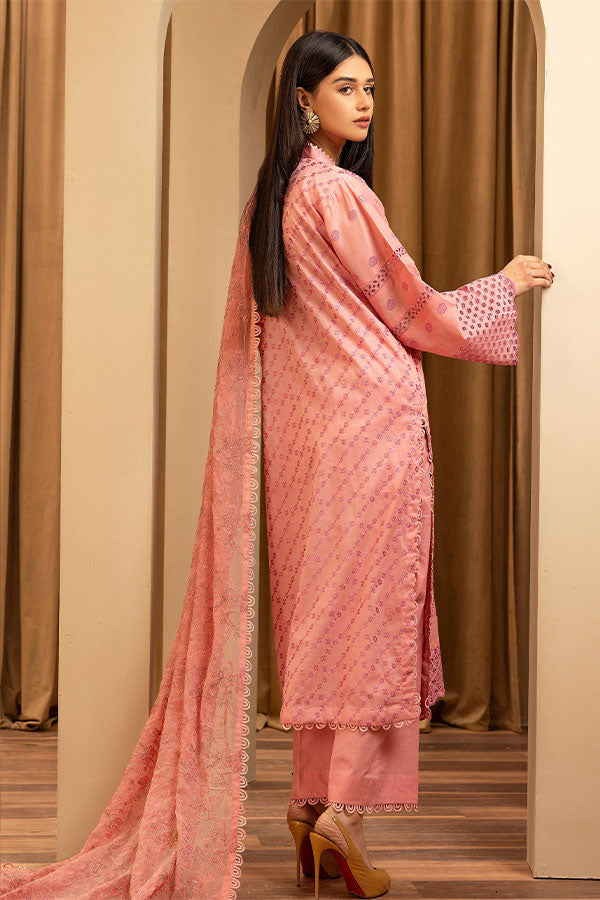Humdum Elegant C/Kari Lawn`25 D#3