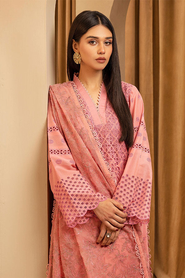 Humdum Elegant C/Kari Lawn`25 D#3