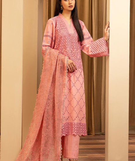 Humdum Elegant C/Kari Lawn`25 D#3