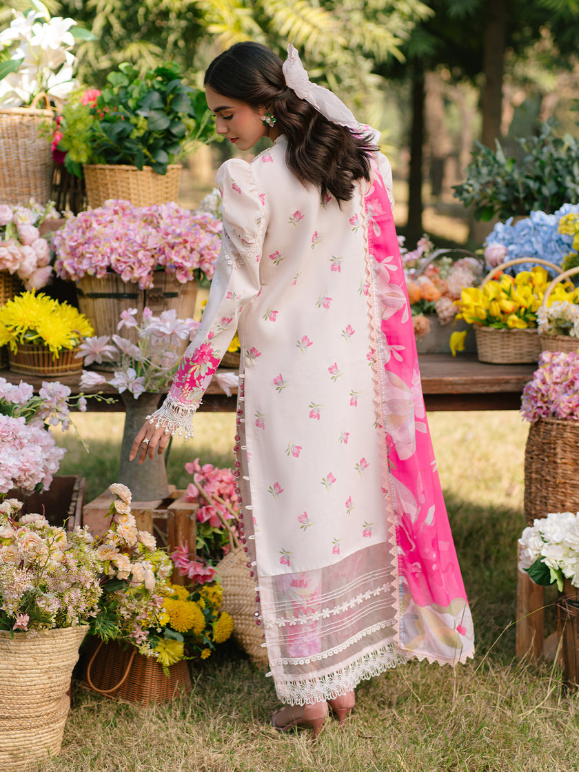 Parishay Ivy Bloom Lawn`25 IVY#09
