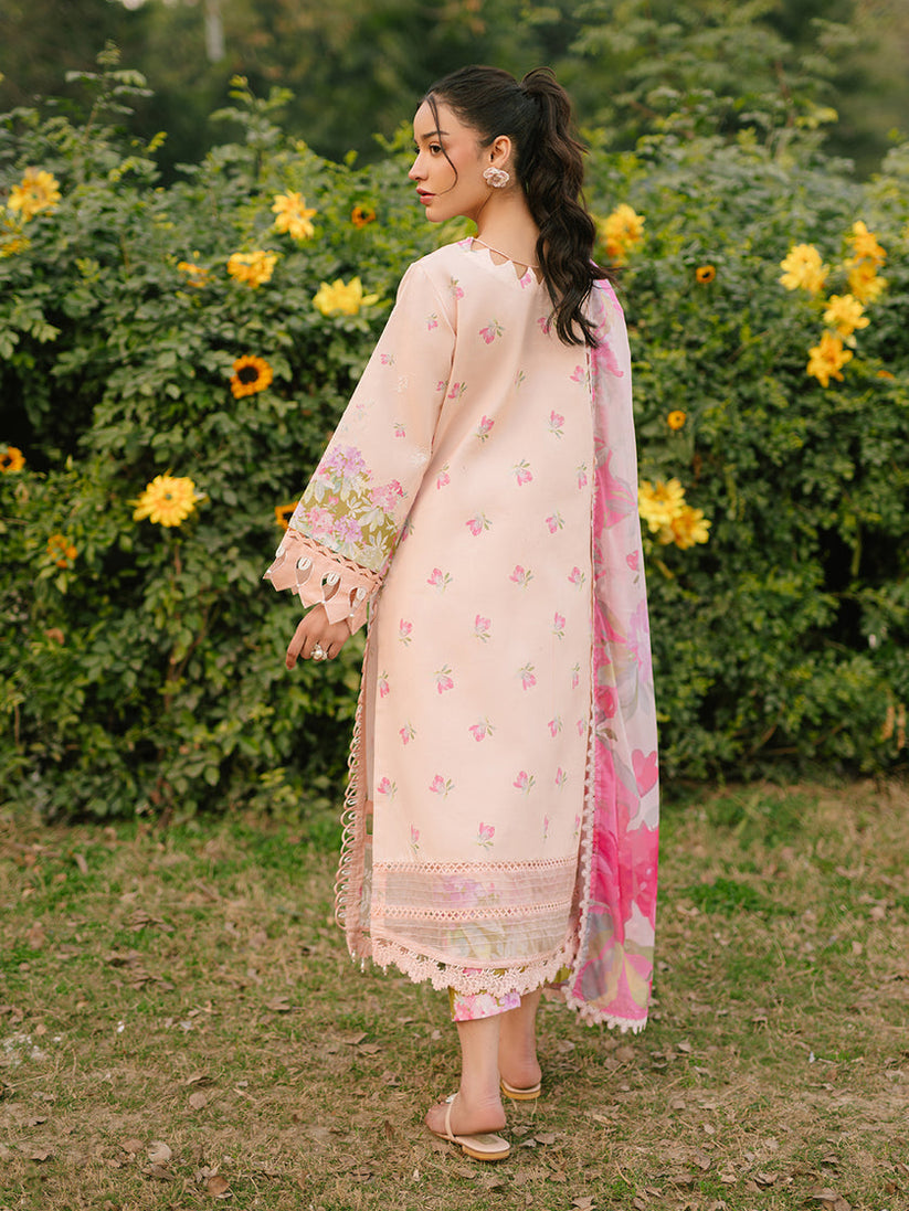Parishay Ivy Bloom Lawn`25 IVY#10
