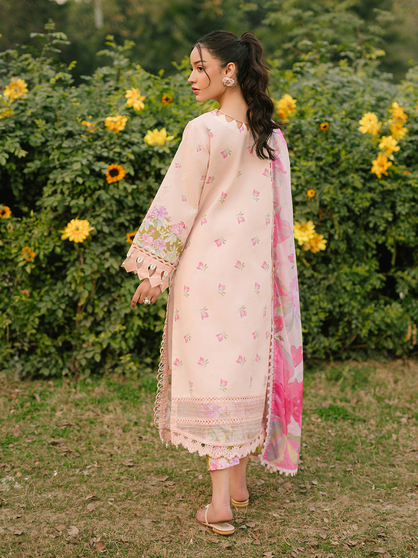 Parishay Ivy Bloom Lawn`25 IVY#10