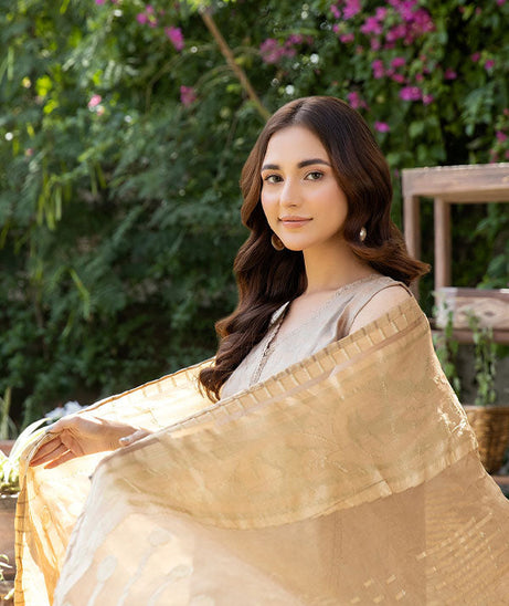 Johra Pinar Banarsi Lawn`25 JH#713