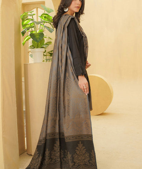 Manizay Kishwar Ka Andaz`25 D#04