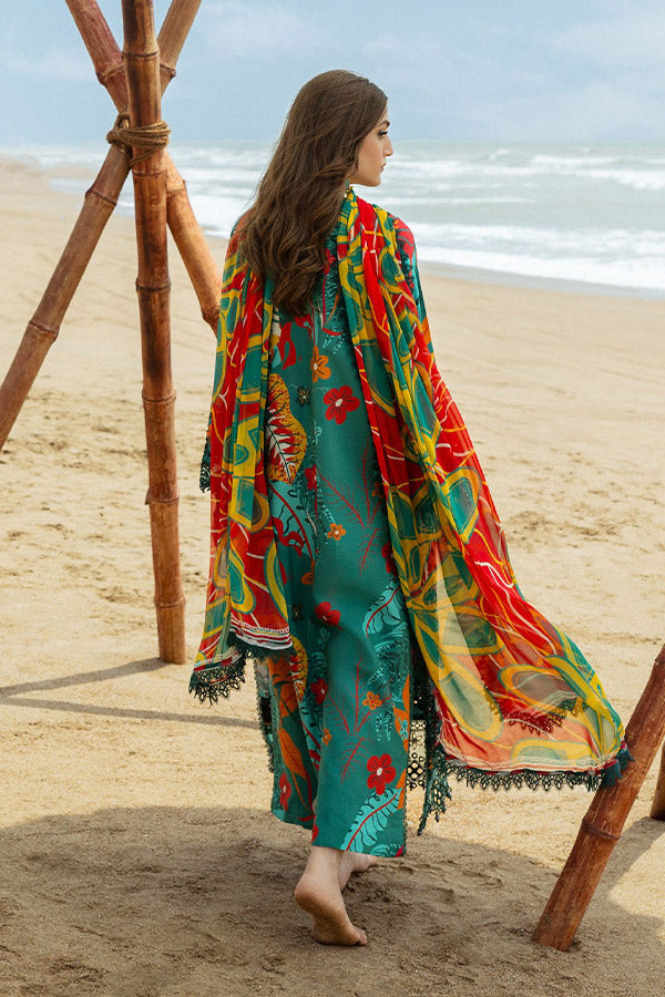 Naqsh O-Opulence Winter`25 D#170